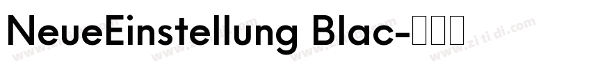 NeueEinstellung Blac字体转换